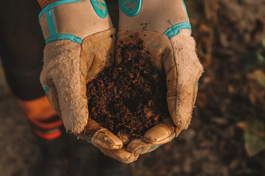 SOIL PREPARATION