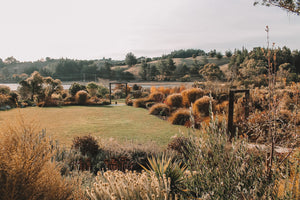 Garden House is a boutique farm shop and market garden situated on Kina Peninsula, Nelson Tasman. A boutique wedding, retreat or corporate venue on the Moutere inlet and Great Taste Trail. 